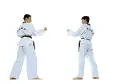TaeKwon Do