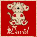Puppy with the name David