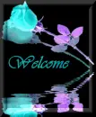welcome
