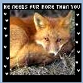 He needs