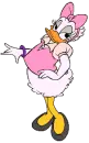 Daisy