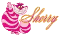  cheshire cat