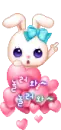 cute bunny