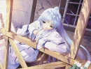 sora