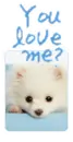 you love me??