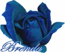 Brenda Blue Rose