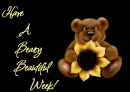 Sunflower Bear