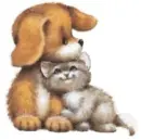 animals