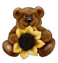 Sunflower Bear