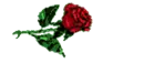 gloria rose