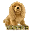 Tanner w/Cocker Spaniel