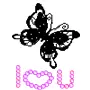 black butterfly