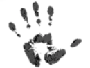 Hand