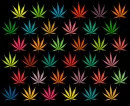 weed