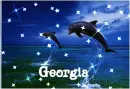 Georgia Dolphin