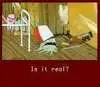 Squidbillies
