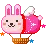 bunny