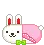 bunny