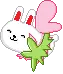bunny
