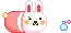 bunny