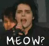 Meow