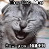 Yah he saw ya!