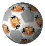 sunderlandball