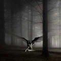 Lonely Angel