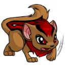 cute neopet pictures