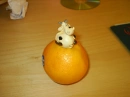 Cow on orange