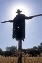 jeepers creepers