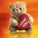 Cute bear