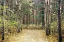 end of the trail