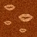 BrownLips