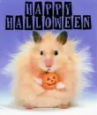 Happy Halloween