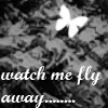 fly away