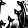 Black Cats