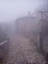 Foggy Street