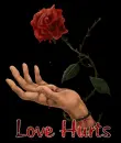 love hurts