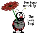 LADYBUG LOVE BUG