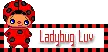 LADYBUG LUV BLINKY