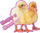 happy easter