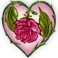 rose heart