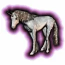 unicorn