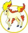 ponyta
