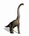 dinogirl88