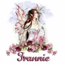 Frannie Fairy Rose