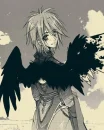 Falling Angel