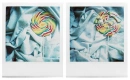 broken candy