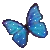 blue butterfly